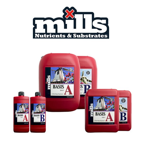 Mills Basis A/B (1l)