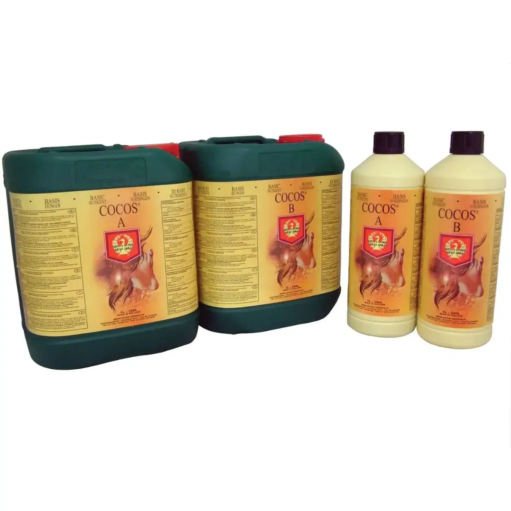 H&G Cocos A & B