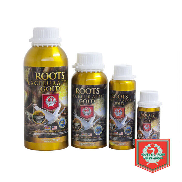 H&G Roots Excelurator