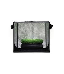 Jungle Room Tent