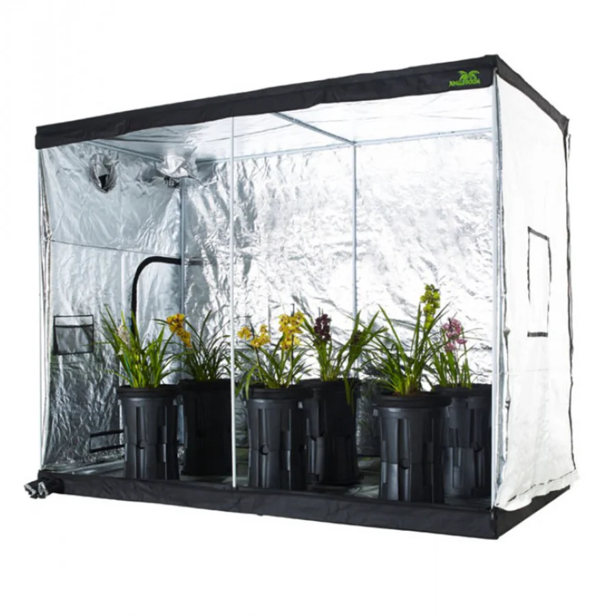 Jungle Room Tent