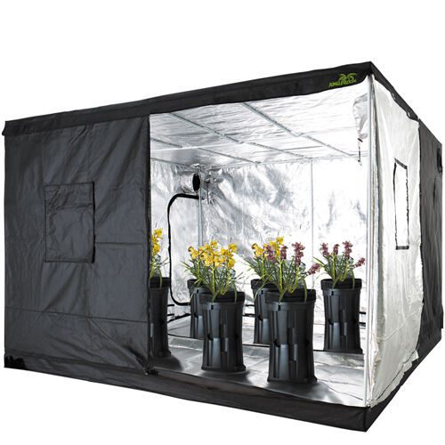 Jungle Room Tent