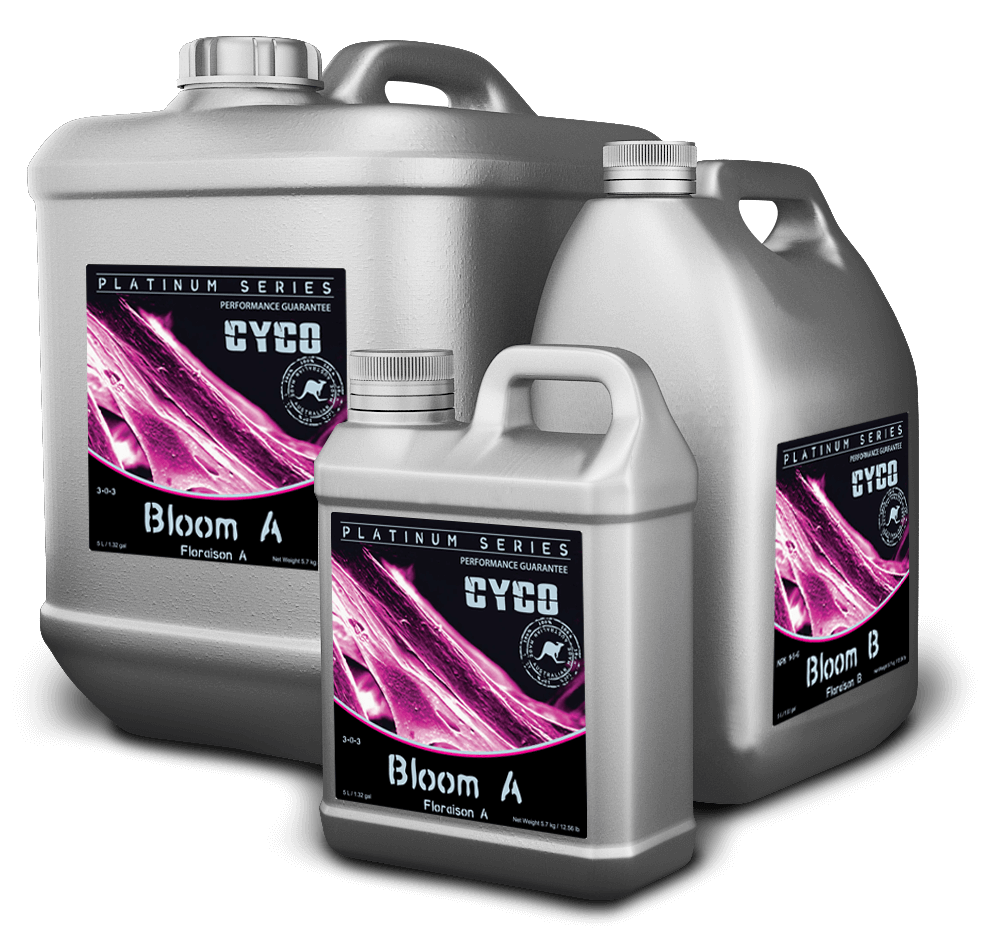 Cyco Bloom A/B