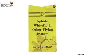 Sticky Trap - Bugs for Bugs
