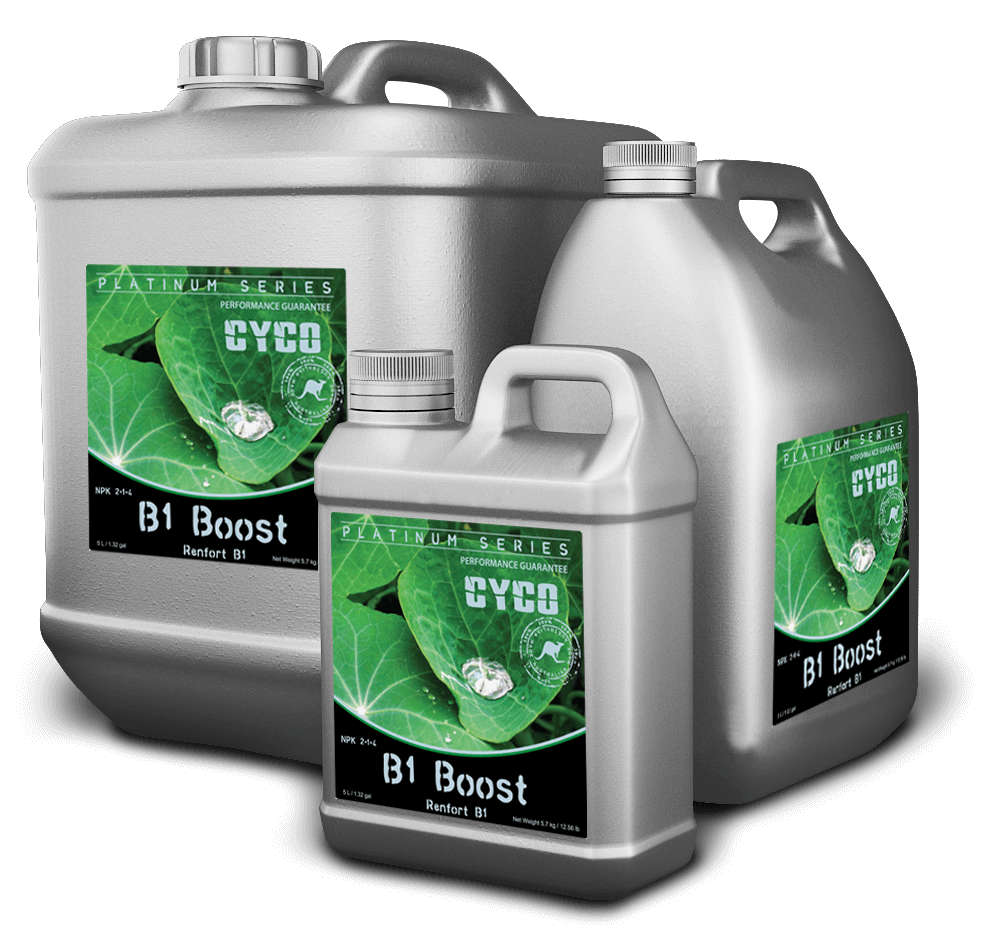 Cyco B1 Boost (250ml)