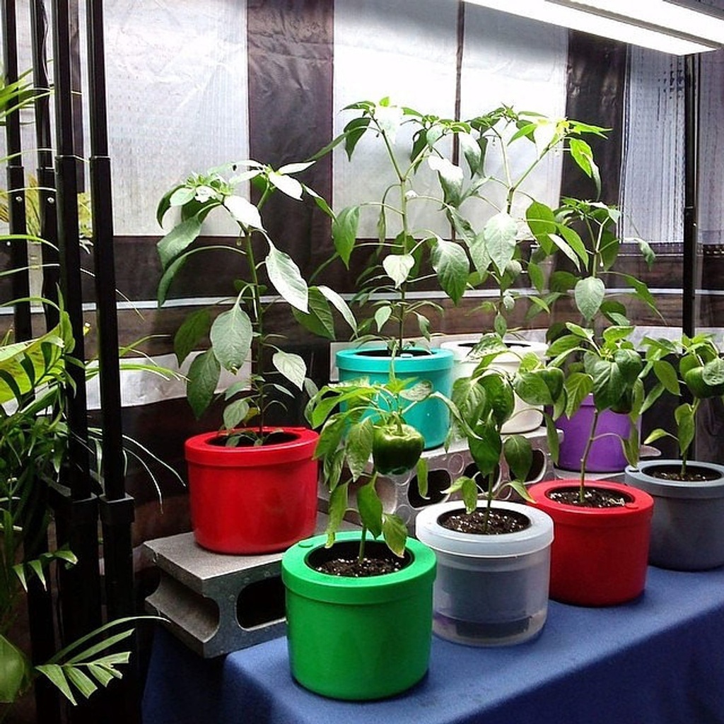 AutoPot TwinWall Pots (Mini)