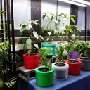 AutoPot TwinWall Pots