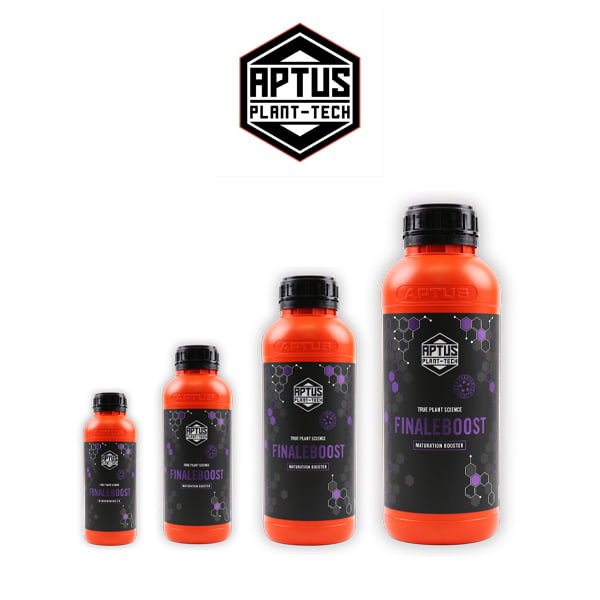 Aptus FinaleBoost 250ml (Clearance)