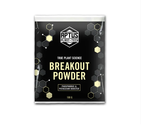 Aptus Breakout Powder (clearance) (1kg)
