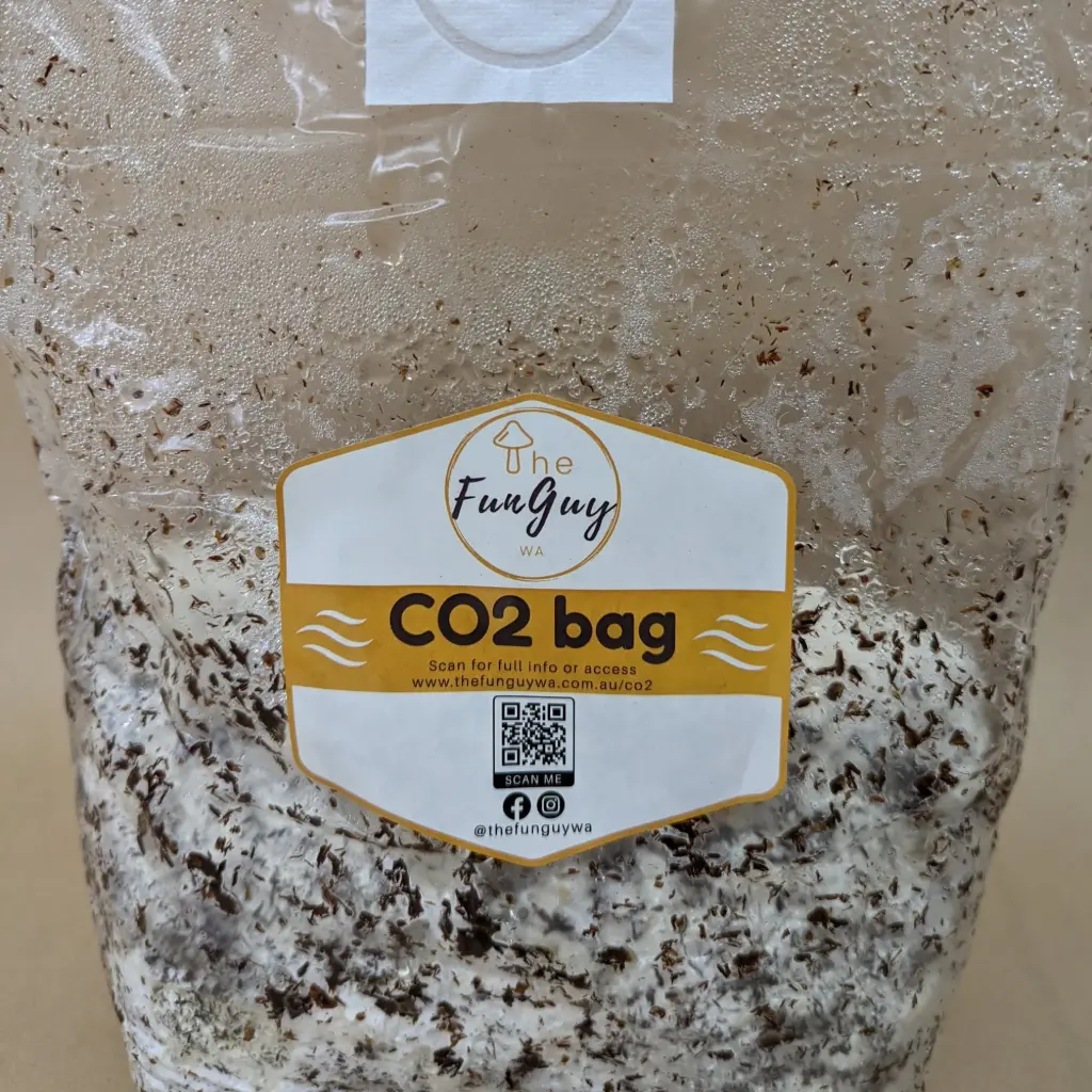 FunGuy Mushroom CO2 Bag
